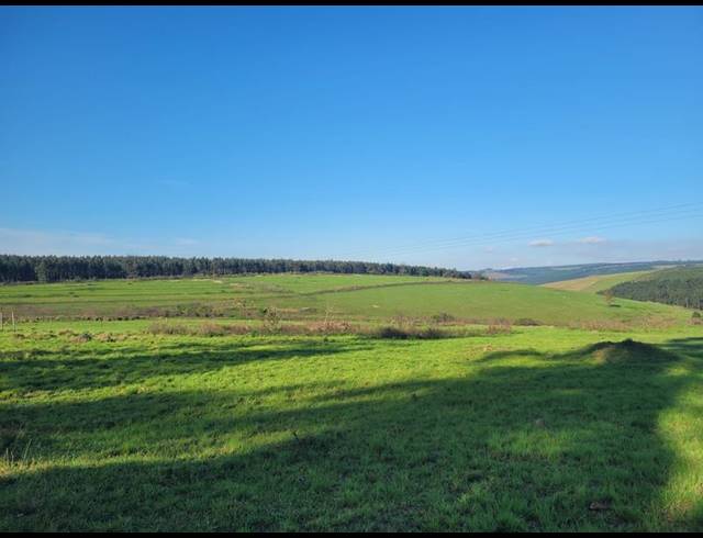 FARM FOR SALE IN HARDING